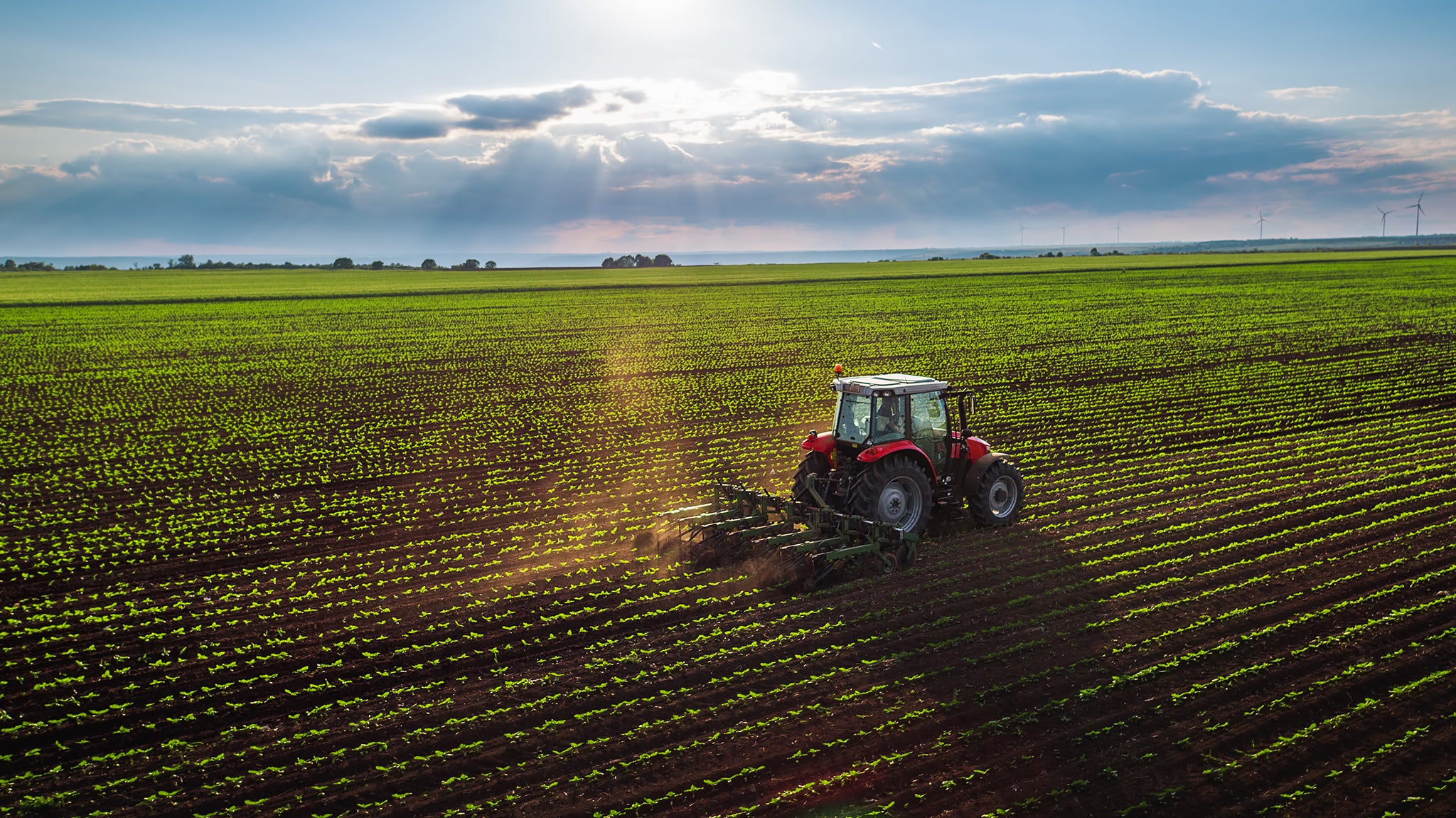 Traktor fährt über ein Feld