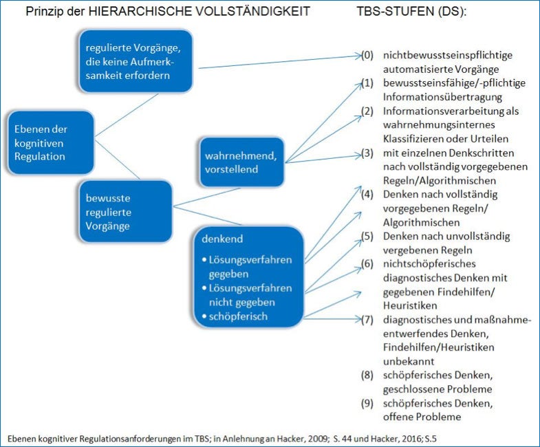 Abbildung: Ebenen kognitiver Regulationsanforderungen im TBS