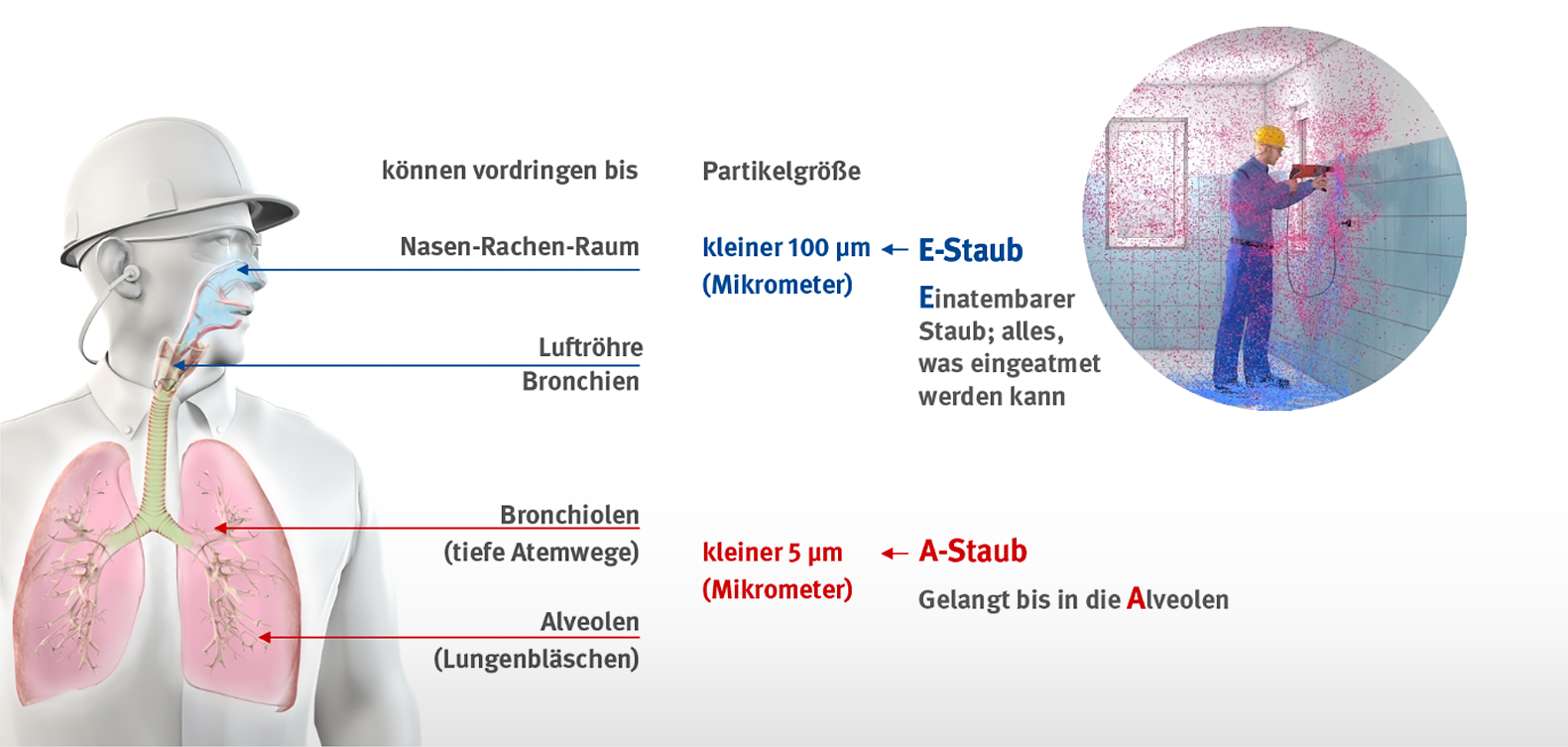 Grafik zeigt den Weg des Staubs und die betroffenen Regionen