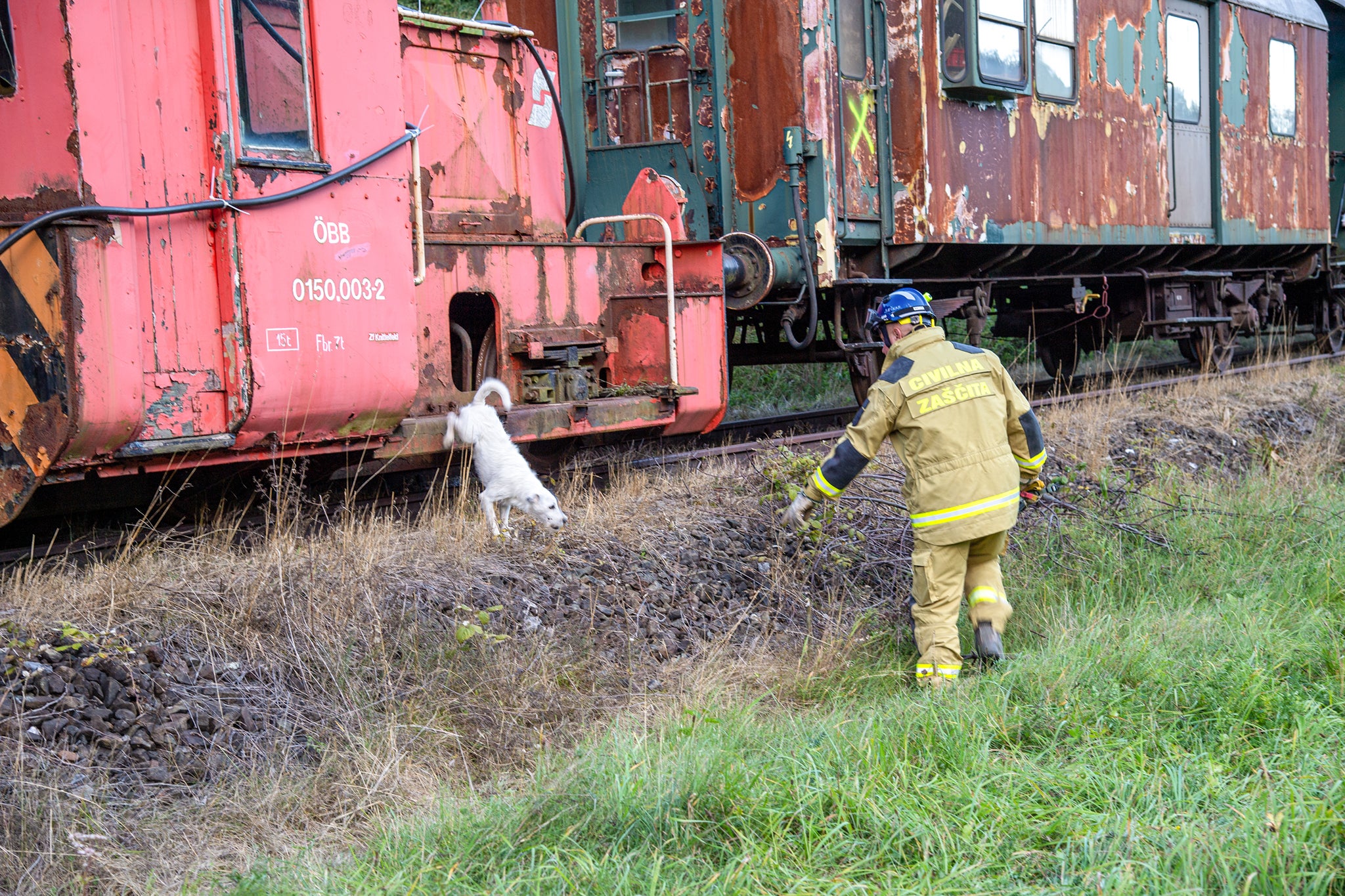 Sucharbeiten an der Unfallstelle