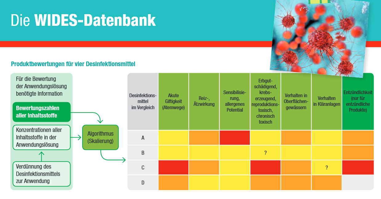WIDES-Datenbank