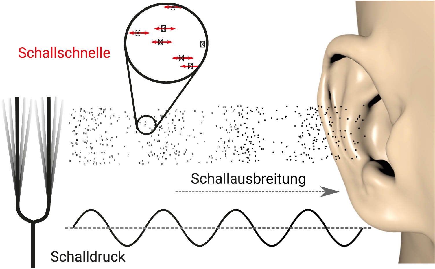 Abbildung 1: Schematische Darstellung der Dichteschwankungen der Luftteilchen und deren Bewegung um die Ruhelage.