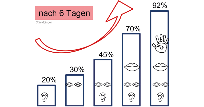 Grafik mit Lernkurve von Hermann Ebbinghaus