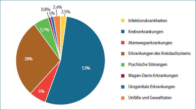 Abbildung: Jährliche Arbeitsbedingte Todesfälle