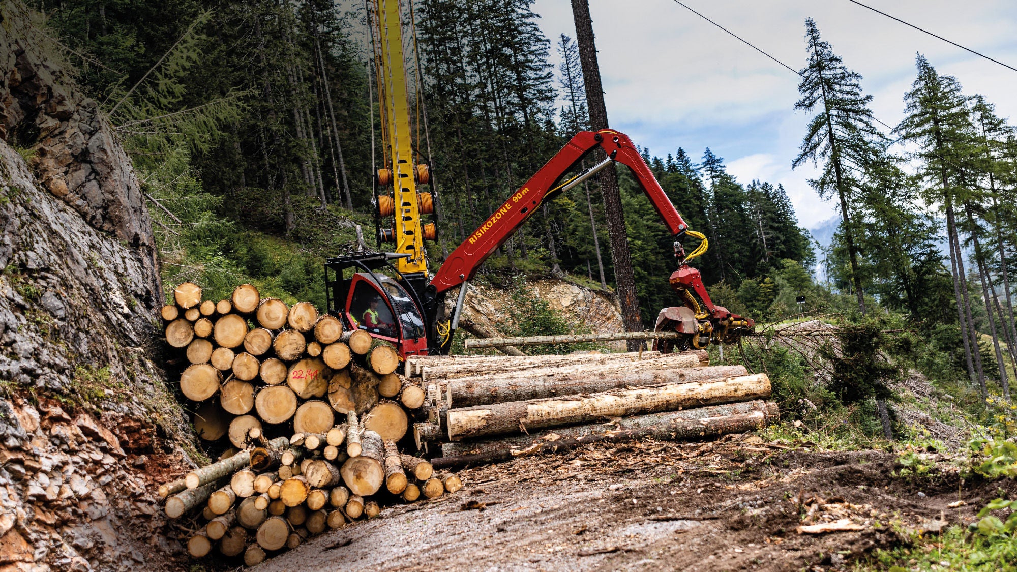 Ein Holzvollernter legt frisch gefällte Baumstämme in einem Waldstück ab; im Vordergrund liegt ein großer Stapel Holz.