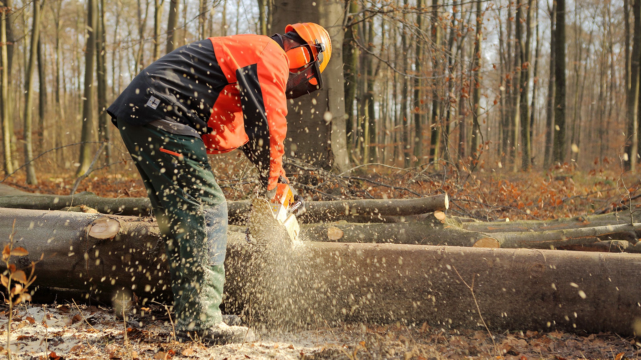 Mann mit Helm und Kettensäge bearbeitet einen Baumstamm im Wald