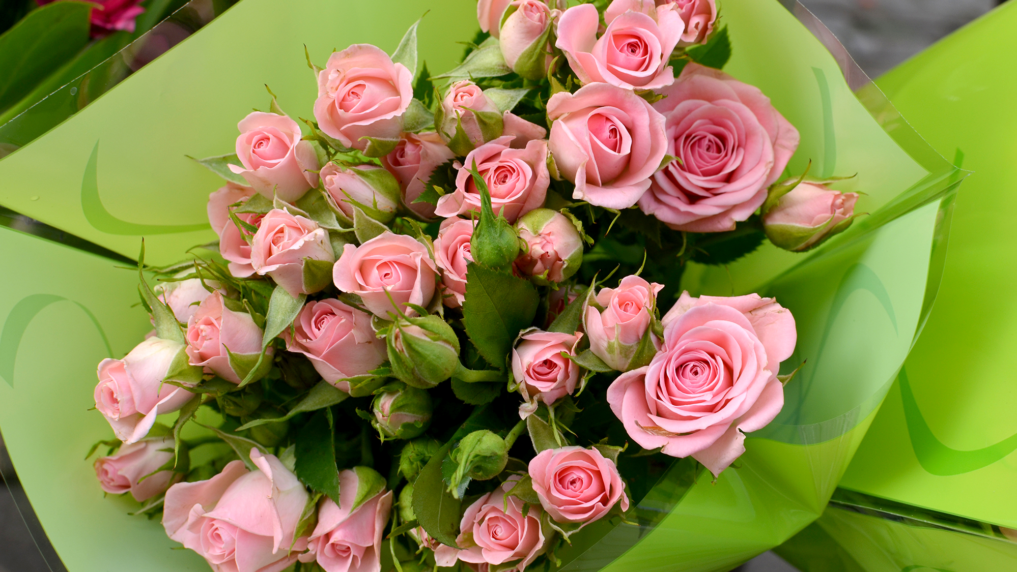 Ein wunderschöner großer rosa Rosenstrauß