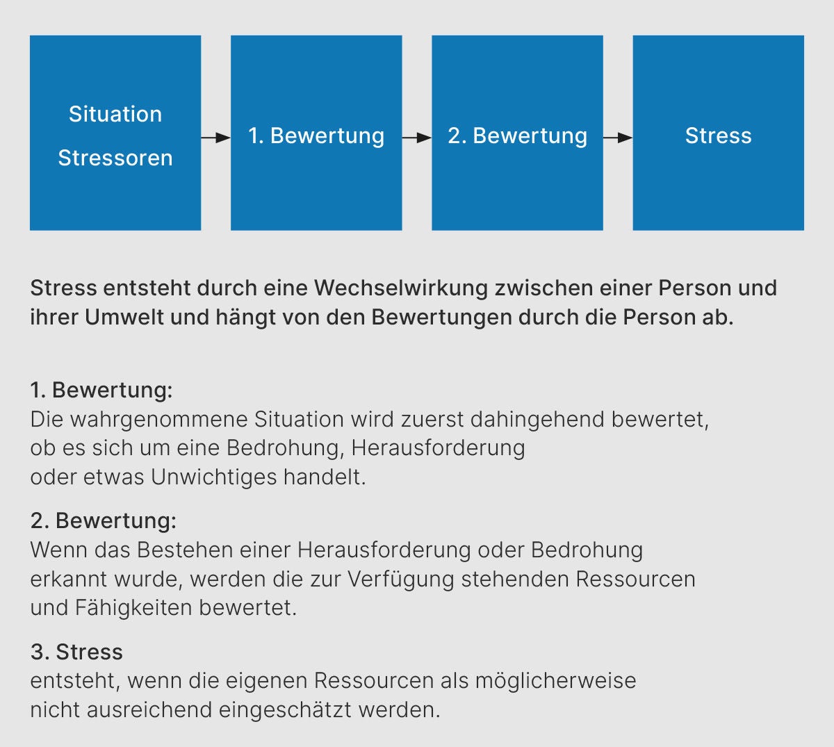 Eine wahrgenommene Situation wird durch zwei Bewertungen analysiert – erst nach ihrer Bedeutung, dann nach verfügbaren Ressourcen – und kann zu Stress führen, wenn die eigenen Mittel als unzureichend eingeschätzt werden.