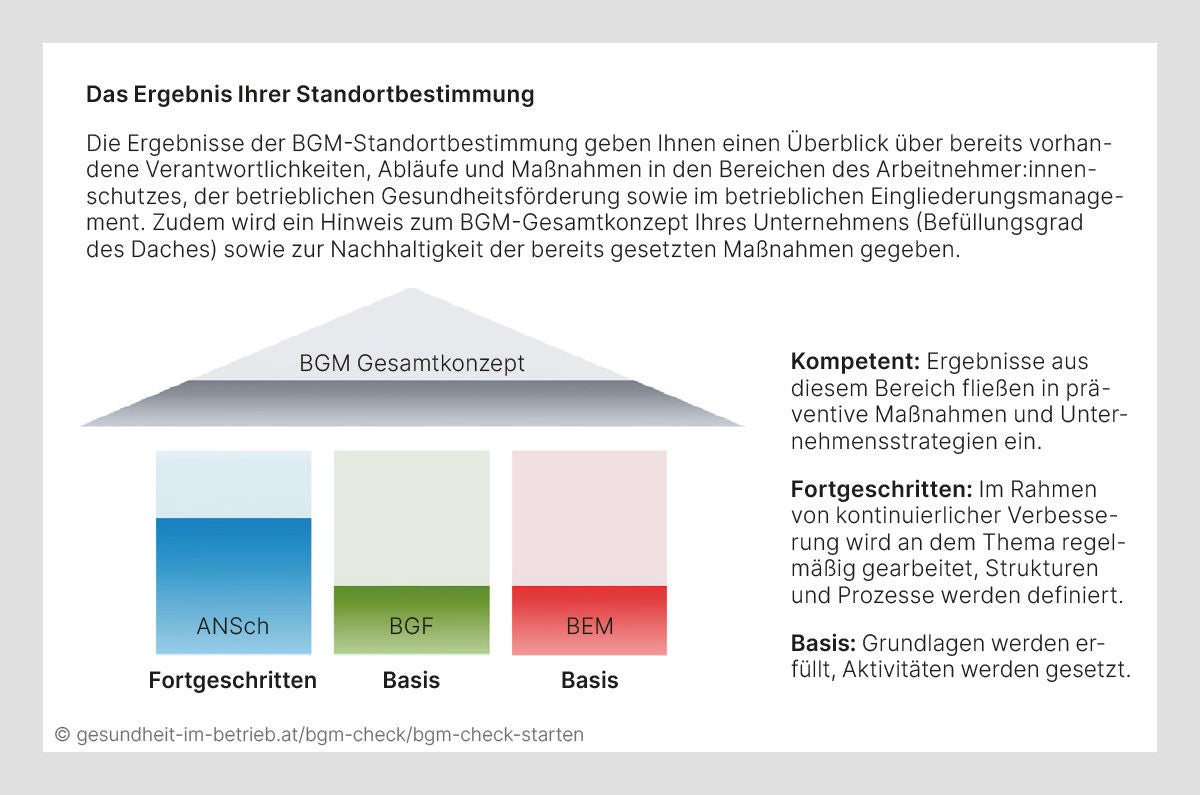 Diagramm eines Hauses, das die Ergebnisse der BGM-Standortbestimmung darstellt. Die Bereiche des Hauses symbolisieren die Ebenen des Arbeitnehmer:innenschutzes (Fortgeschritten), der betrieblichen Gesundheitsförderung (Basis) und des betrieblichen Eingliederungsmanagements (Basis). Der Befüllungsgrad des Daches zeigt das Gesamtkonzept und die Nachhaltigkeit der Maßnahmen.