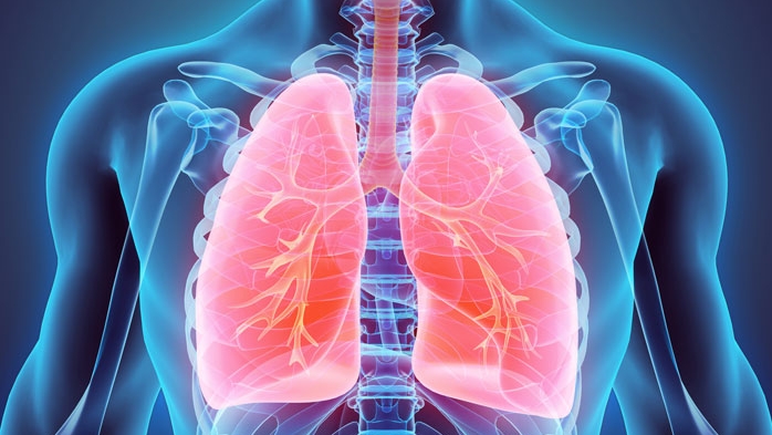 3D-Simulation der Lunge