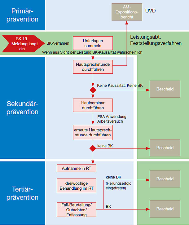 Abbildung: Gesamtprozess von der Prävention zur Behandlung in Zusammenhang mit Hauterkrankungen