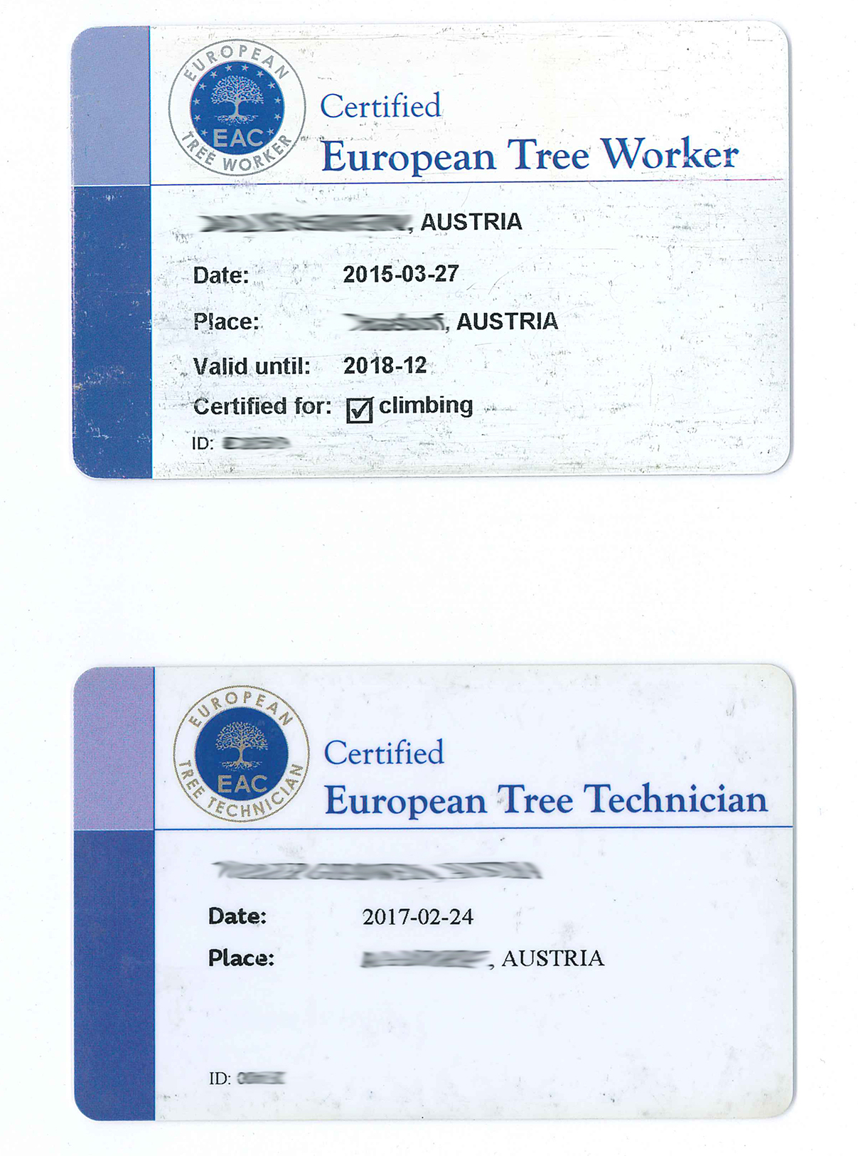 Zertifizierungen/Befähigungsnachweise zum Baumklettern