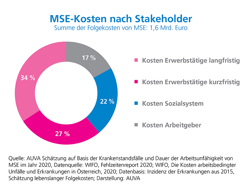 Infografik MSE-Kosten nach Stakeholder